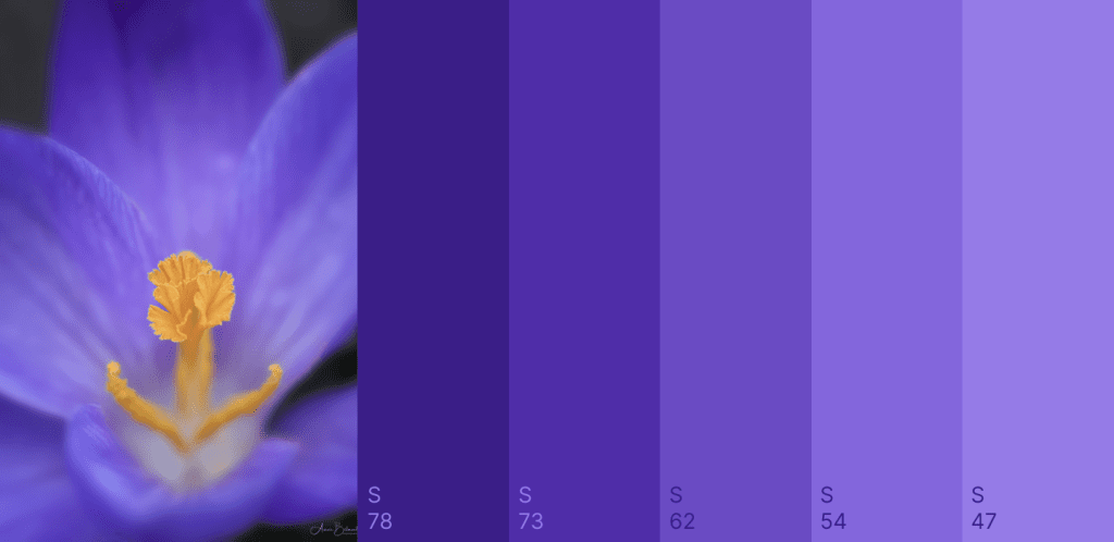 Nature color palette