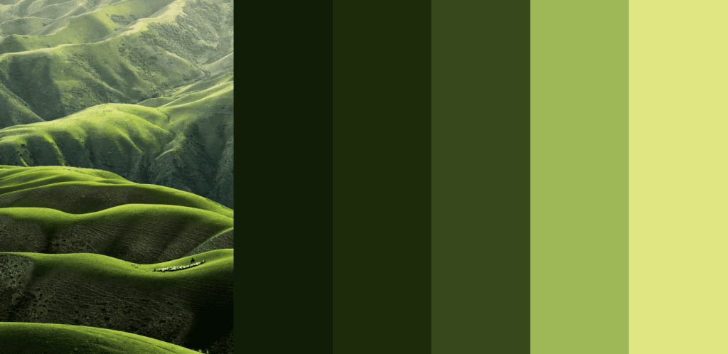 Nature color palette