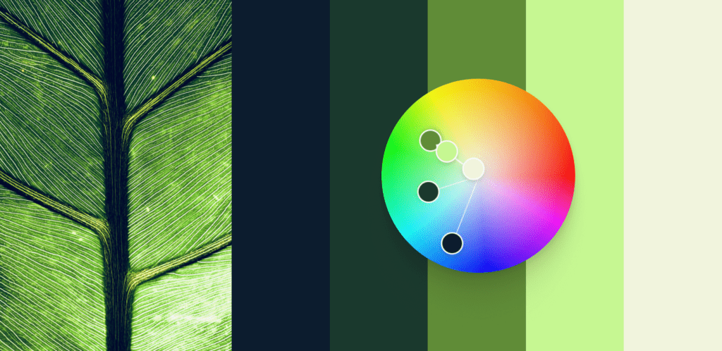 Color palette learnings